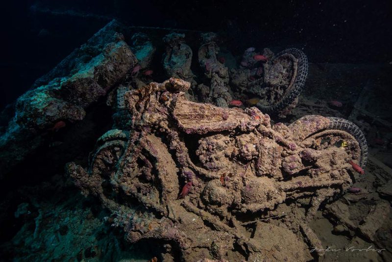 Red sea wreck diving