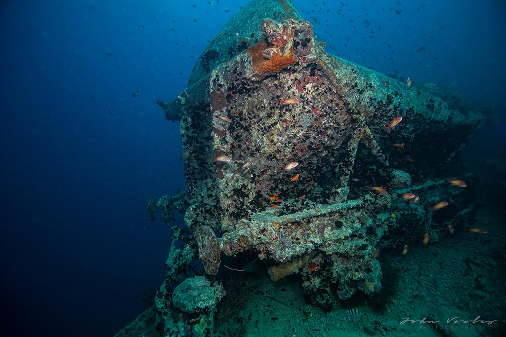 Red sea wreck diving